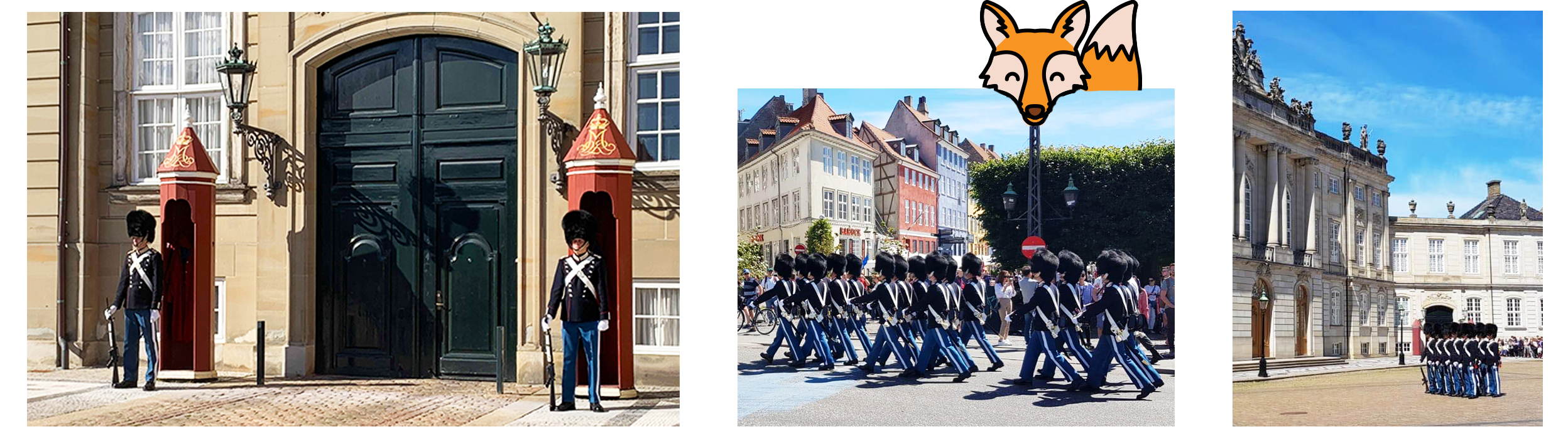Releve de la garde